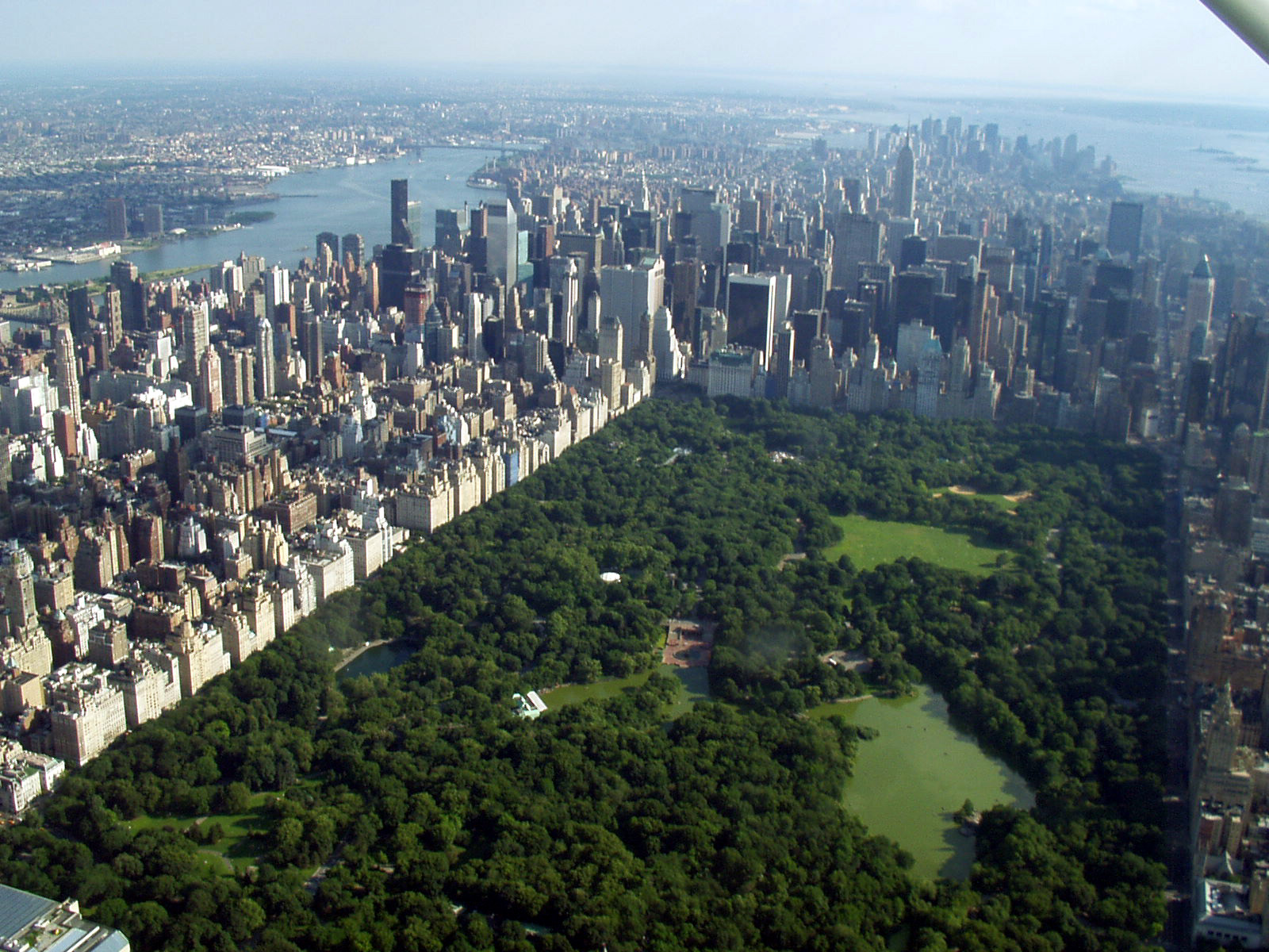 CentralPark.jpg