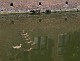 Jump to image